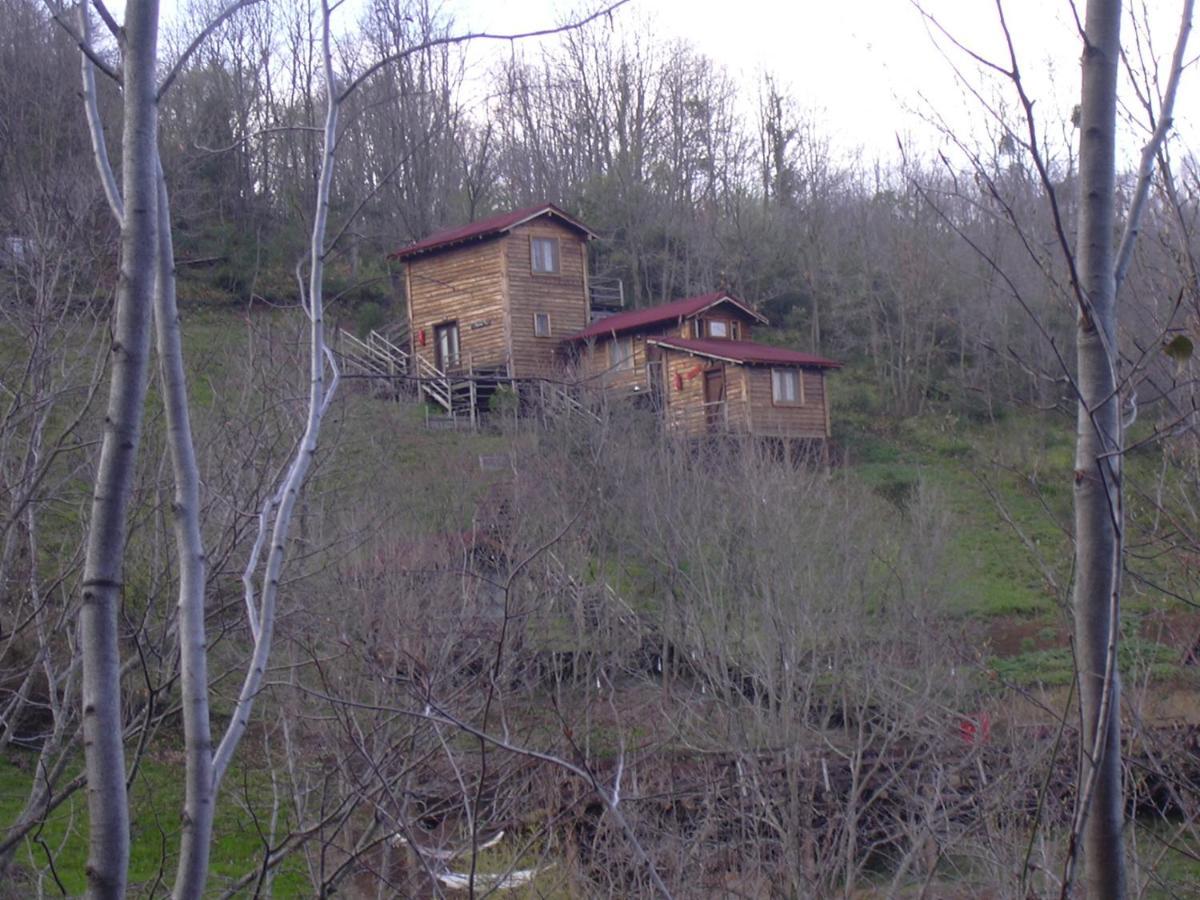 Double Room Mountain View