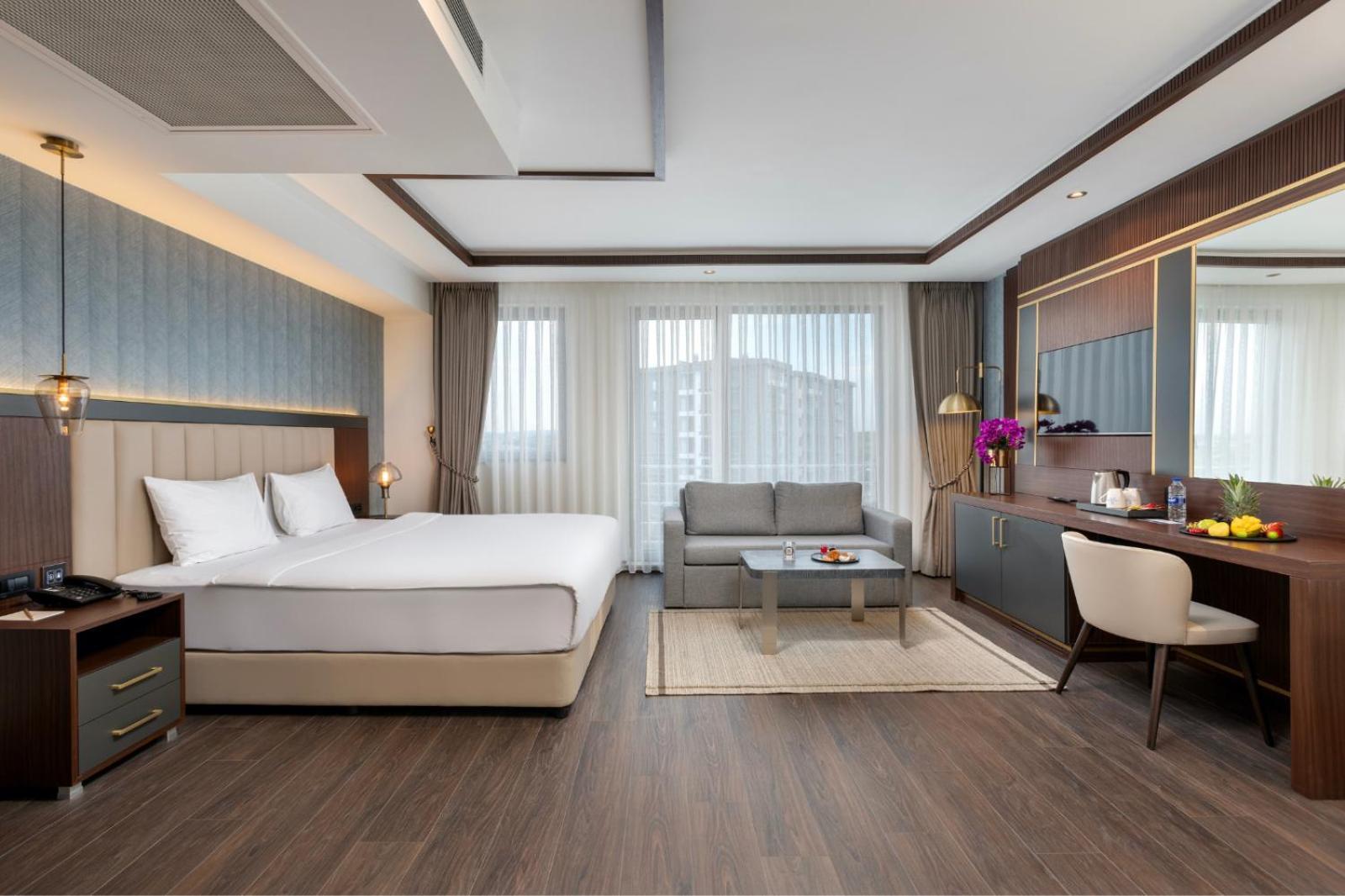 Premium Business Executive Room