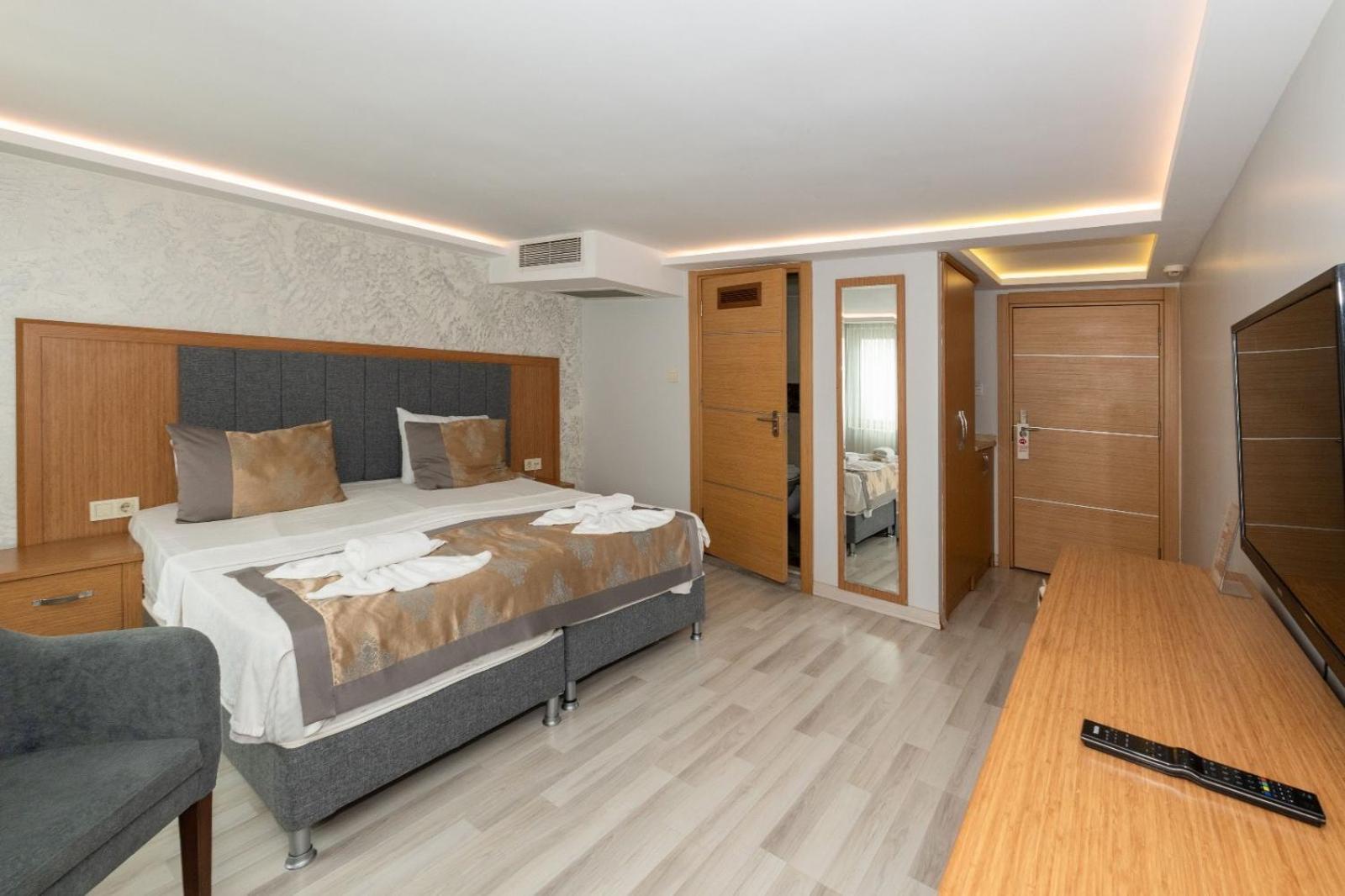 Superior Double or Twin Room