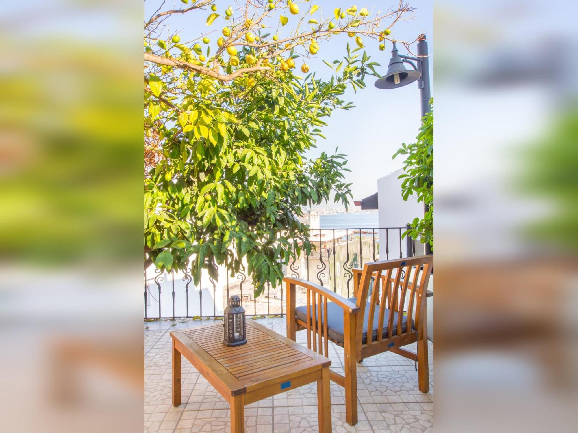 Family Room Terrace