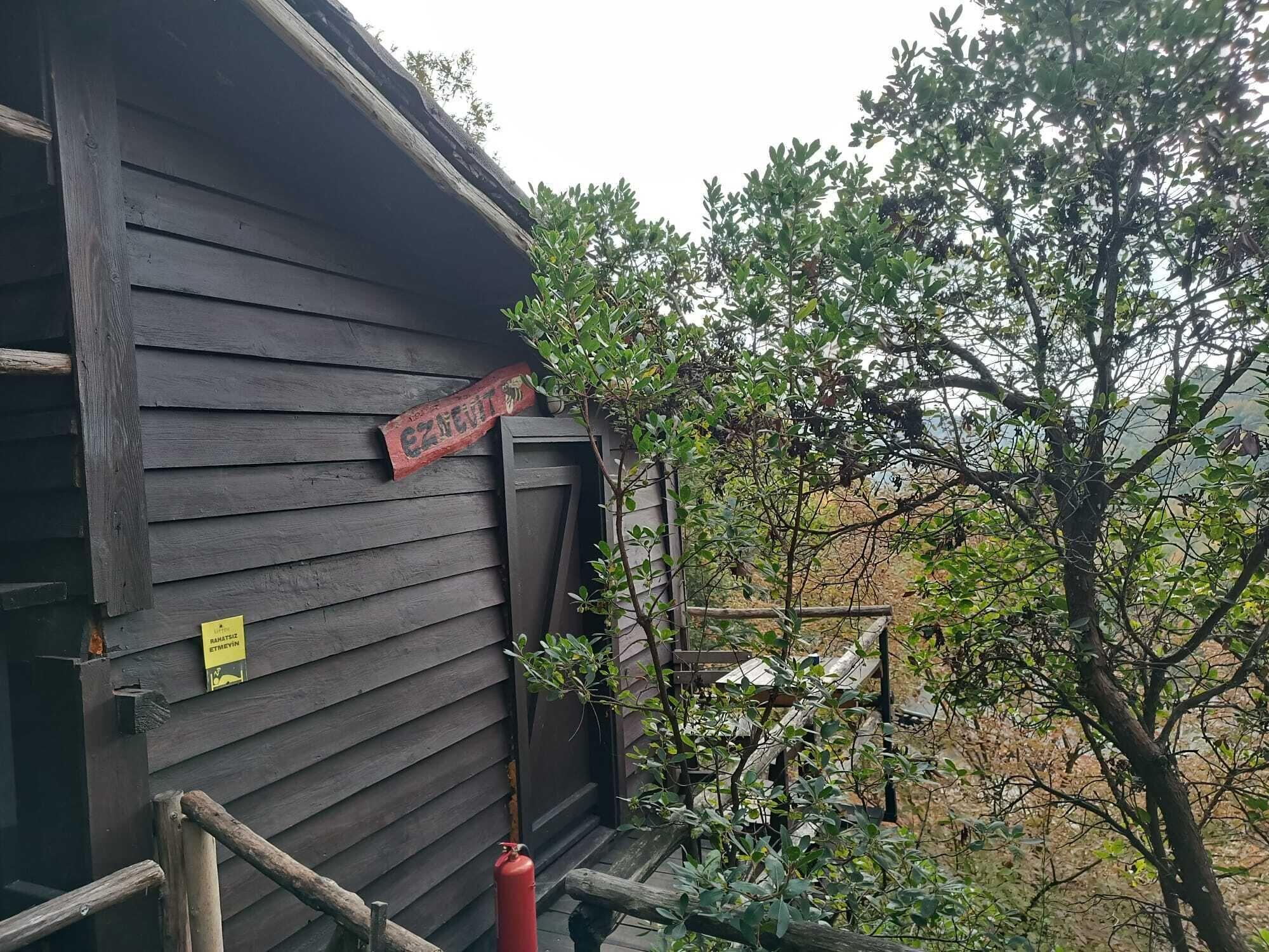 Double Room Mountain View