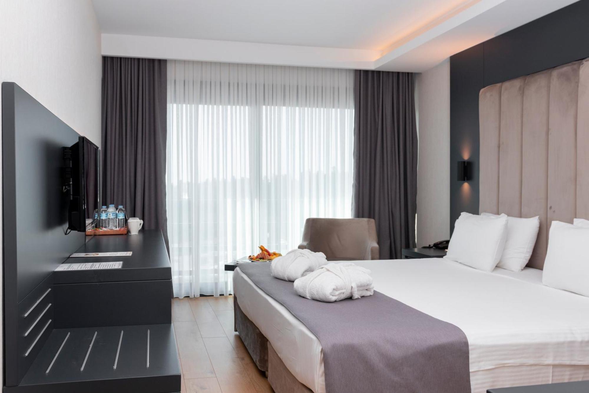 Suite Room