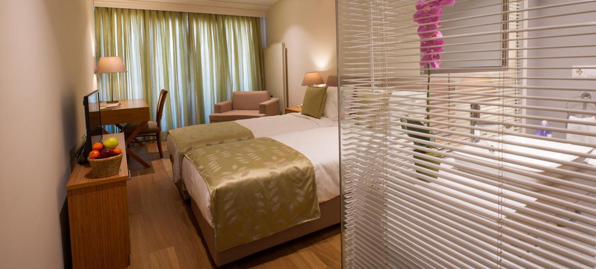 Deluxe Double or Twin Room