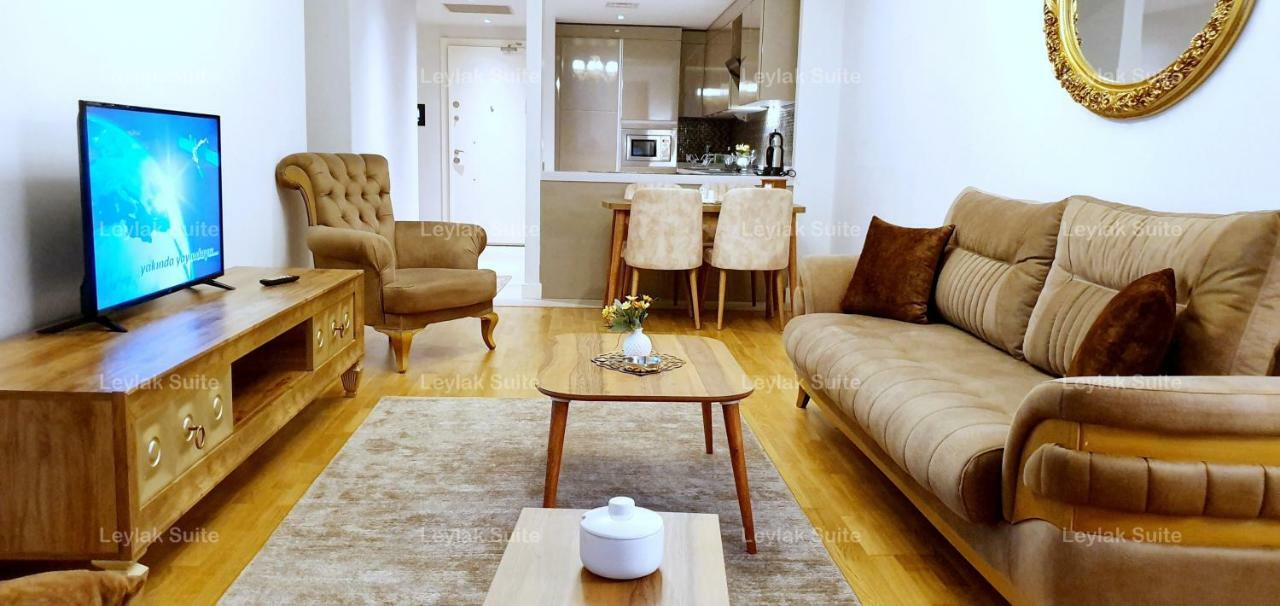 Appartement 1 Chambre