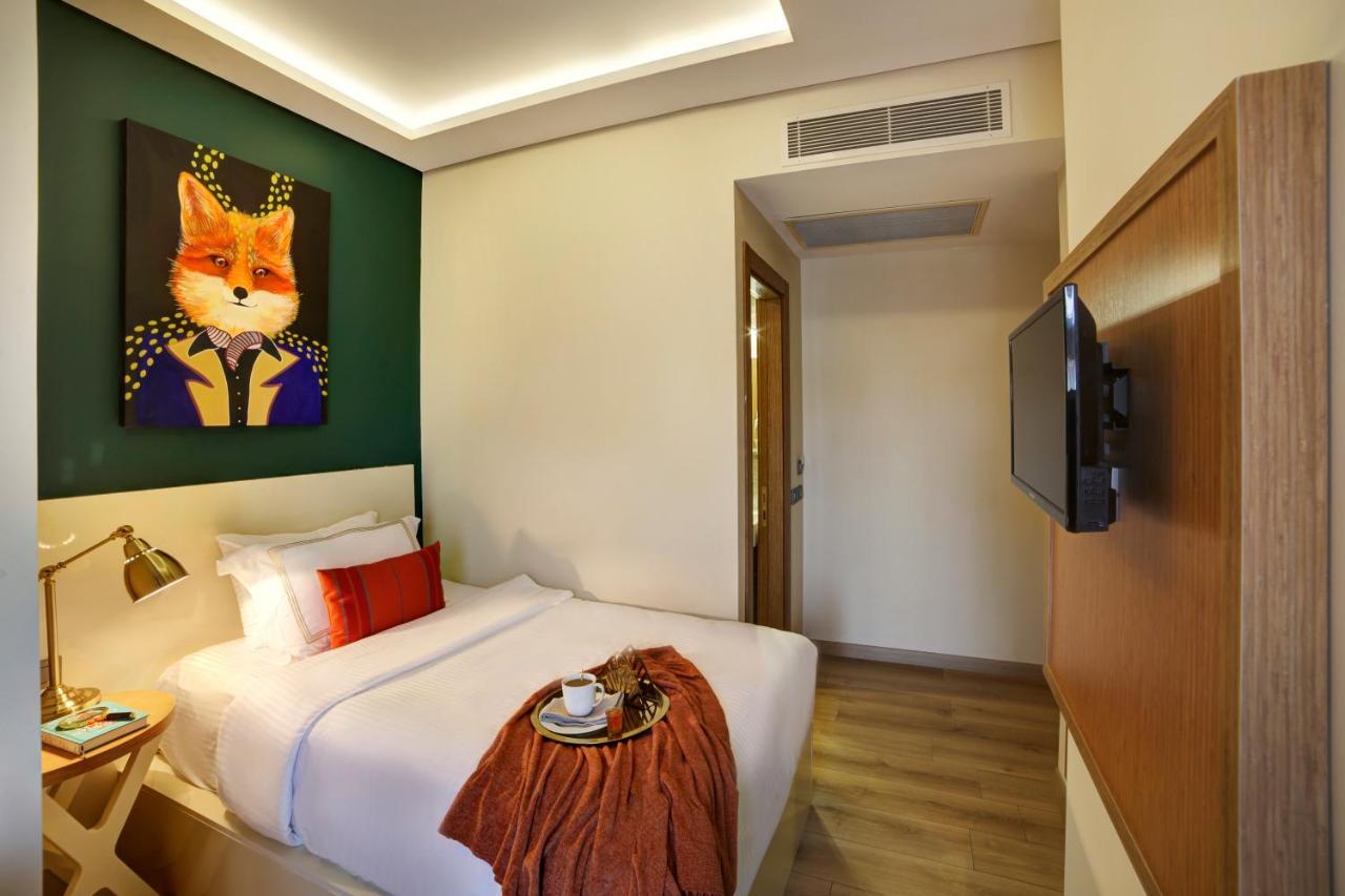 Economy Single Room,949817653:JPEG