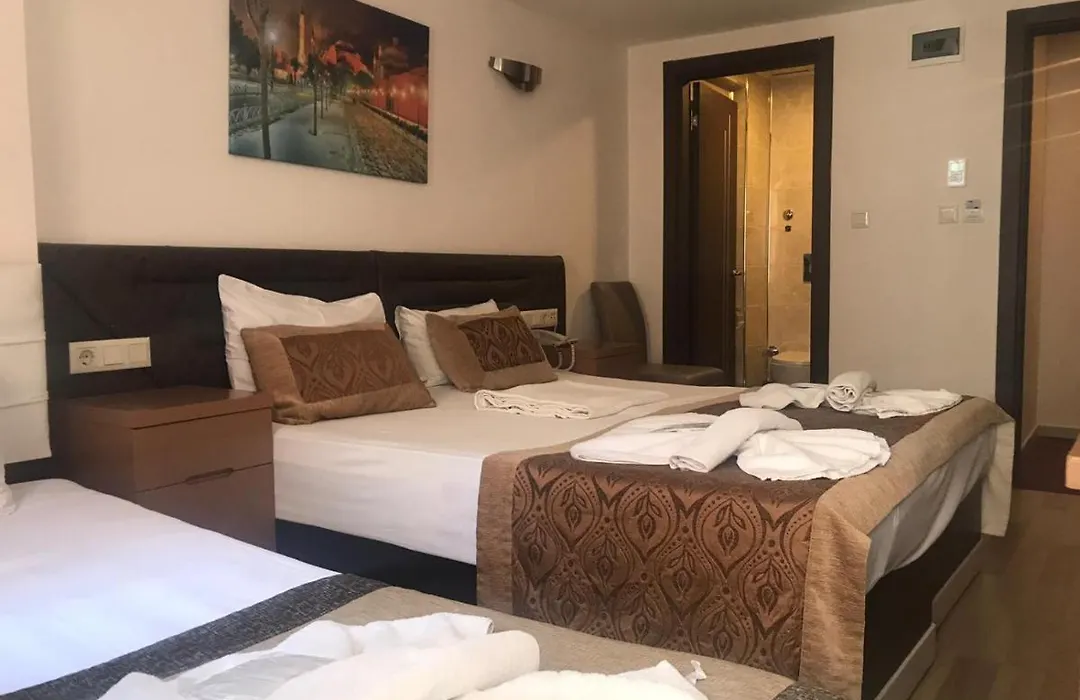 Sultanahmet Milan Hotel&Spa-1