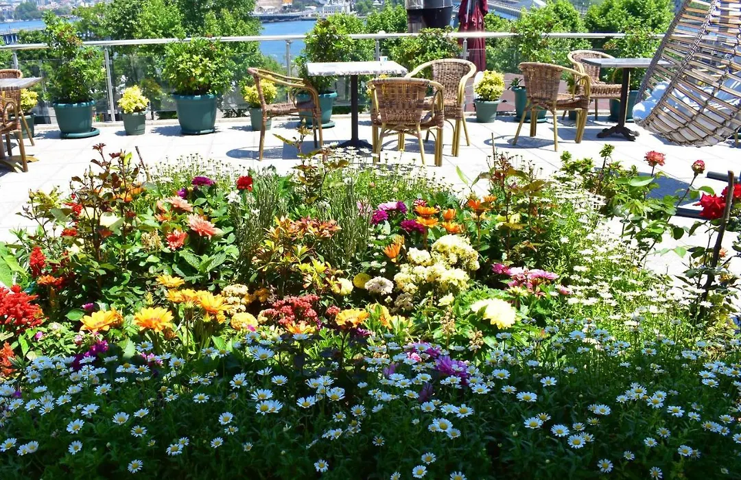 Hotel Garden Terrace-1