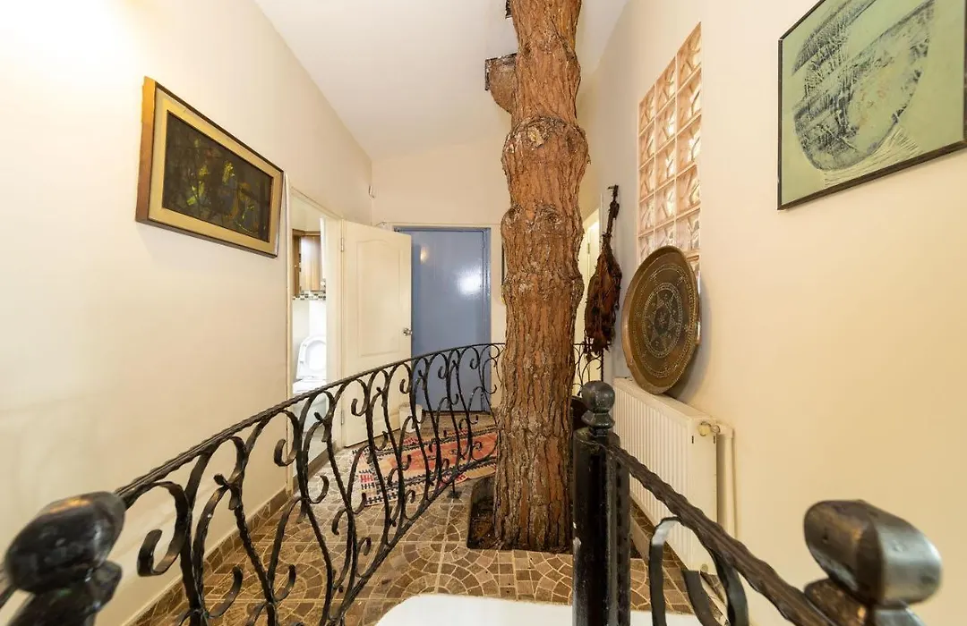 House With Tree Inside Near Sea In Maltepe-1