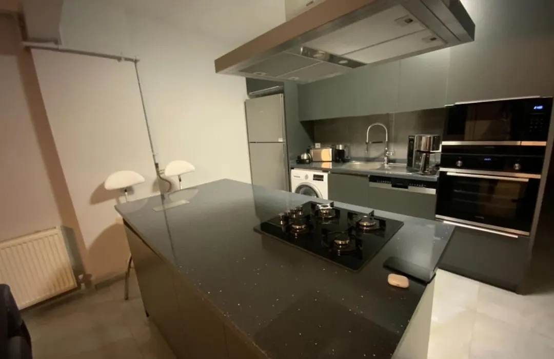 Luxury Z-Apart Family Homes 2 Bedrooms Wifi Near Metro Zeytinburnu Istanbul-1