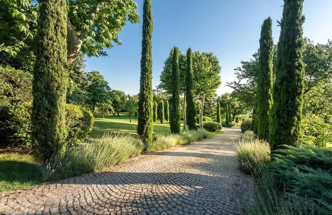 Enchanting 22,000M2 Property And Elegant 5 Bedroom Manor-1