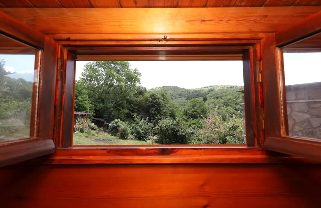 Cozy Mountain House Surrounded By Nature In Beykoz-1
