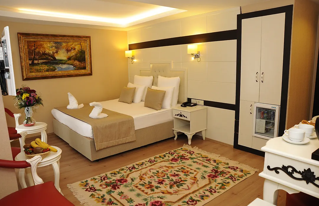 Comfort Elite Hotels Sultanahmet-1