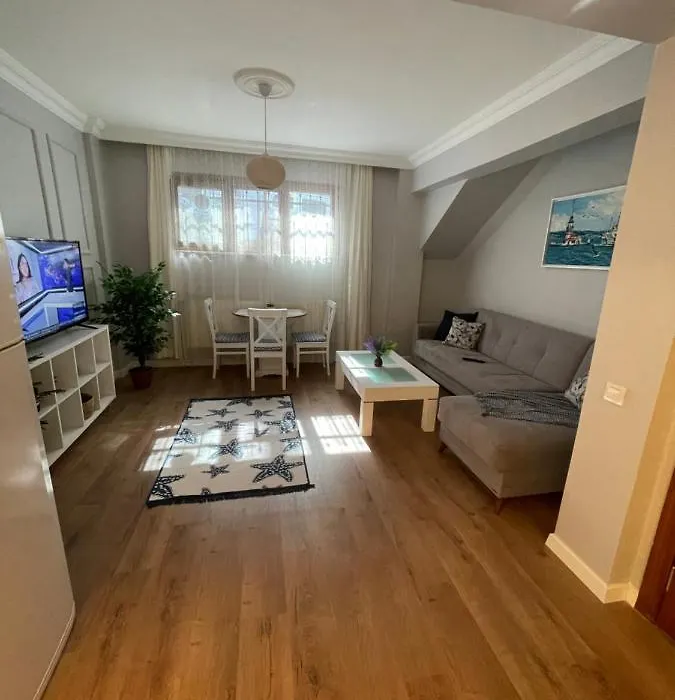 Nice And Cozy Newly Renovated Flat In Cihangir-1
