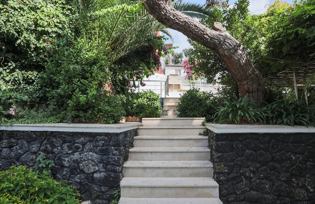 Luxury Mansion In The Heart Of Prince Island-1