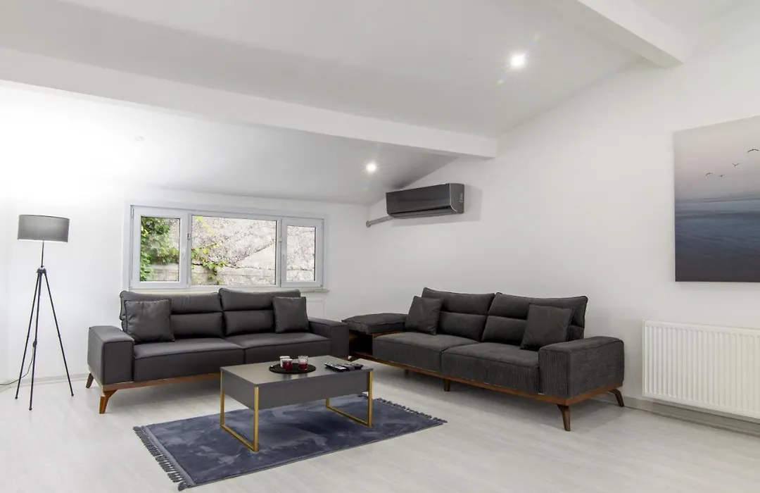 Sleek House With A Lovely Terrace In Besiktas-1