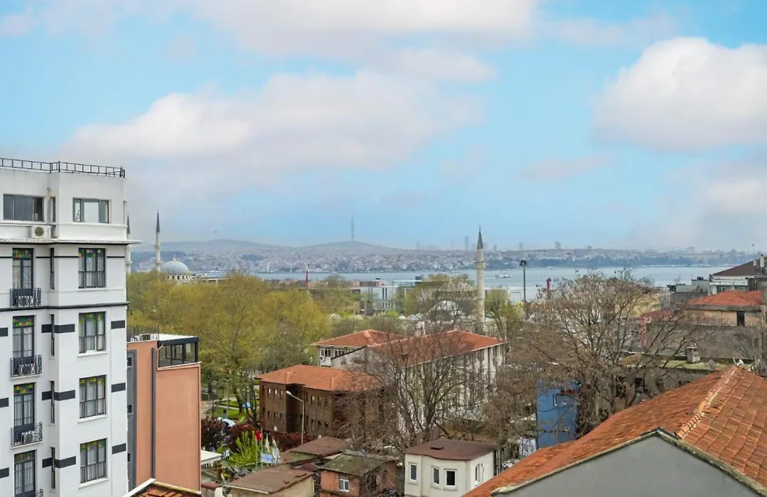 Lovely Bright 1Bed15Bath Duplex Penthouse! #173-1