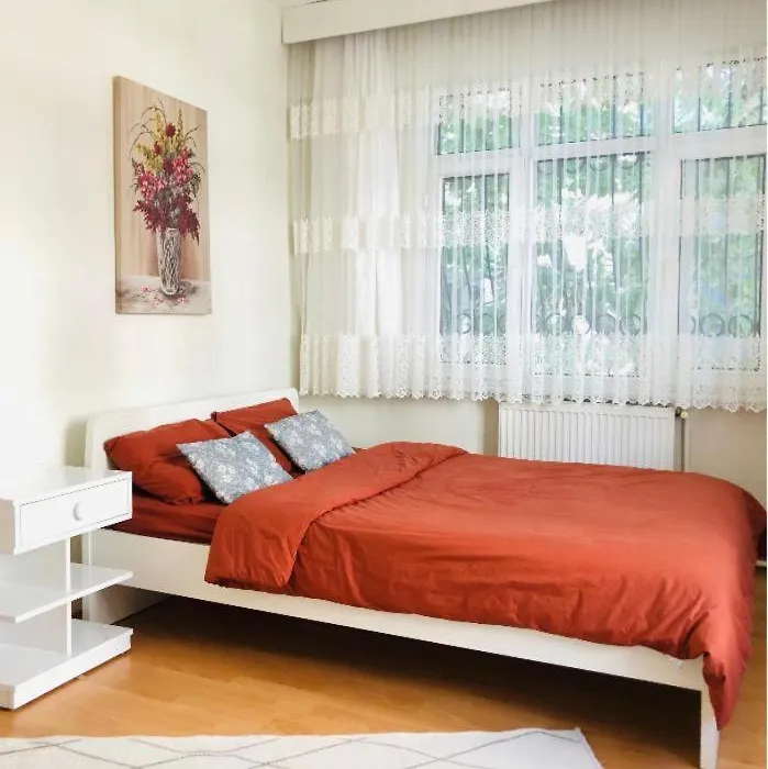 Busra'S House-1