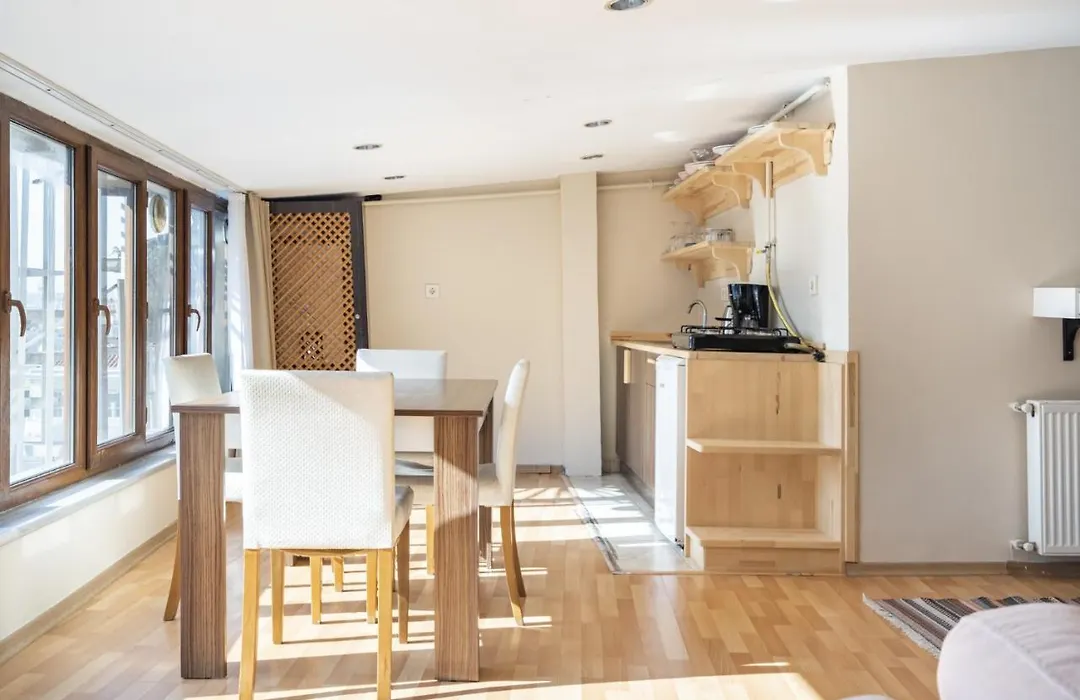 Central Flat Close To Taksim Square In Beyoglu-1