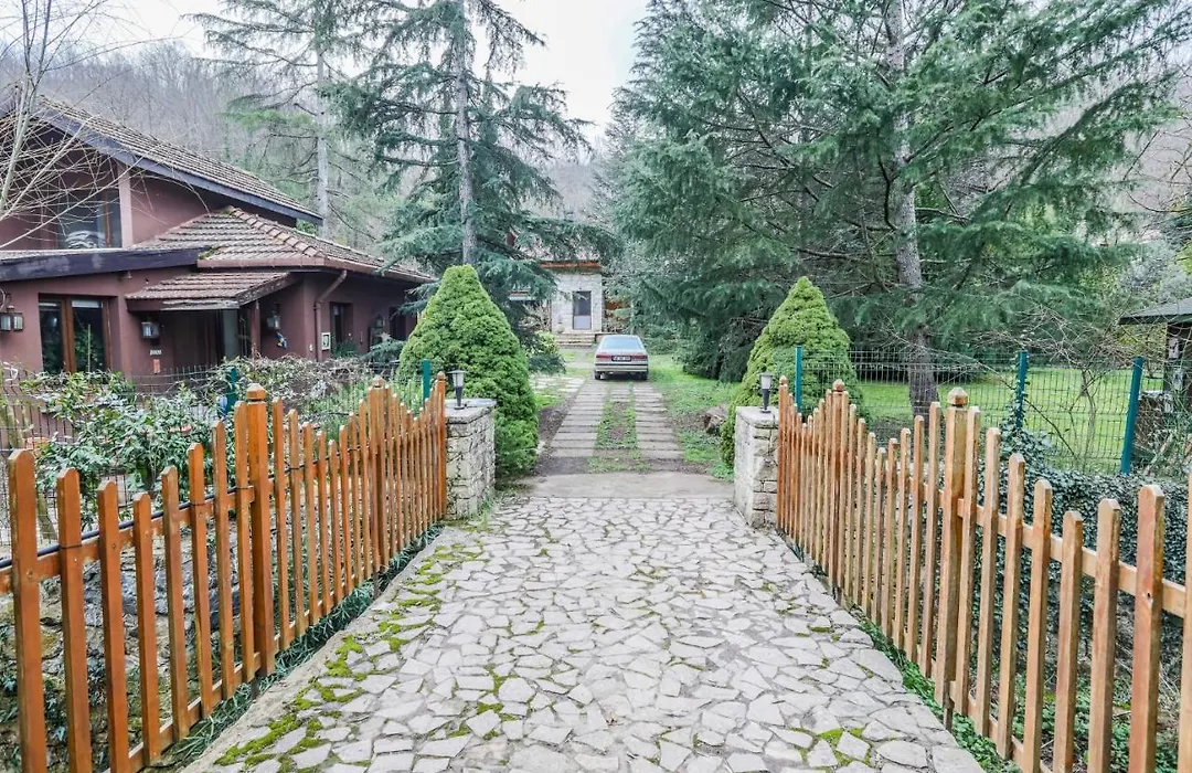 Spacious Private Villa With Pool In Sile-1