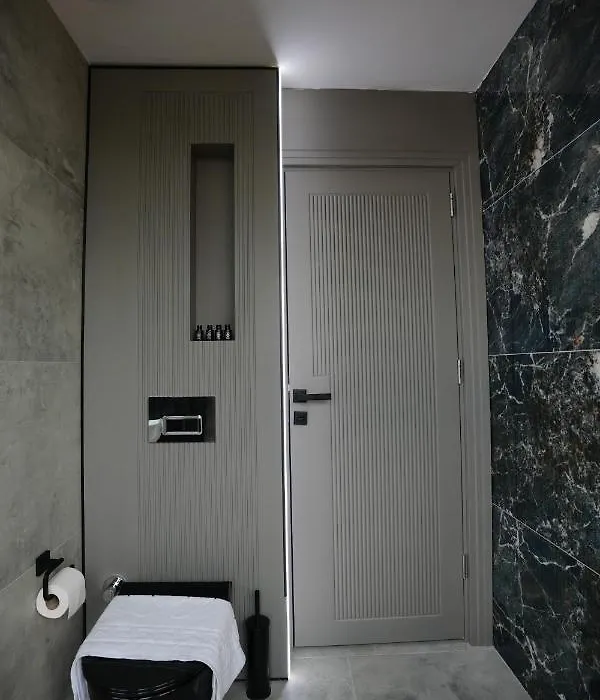 Dream House Monstera-1