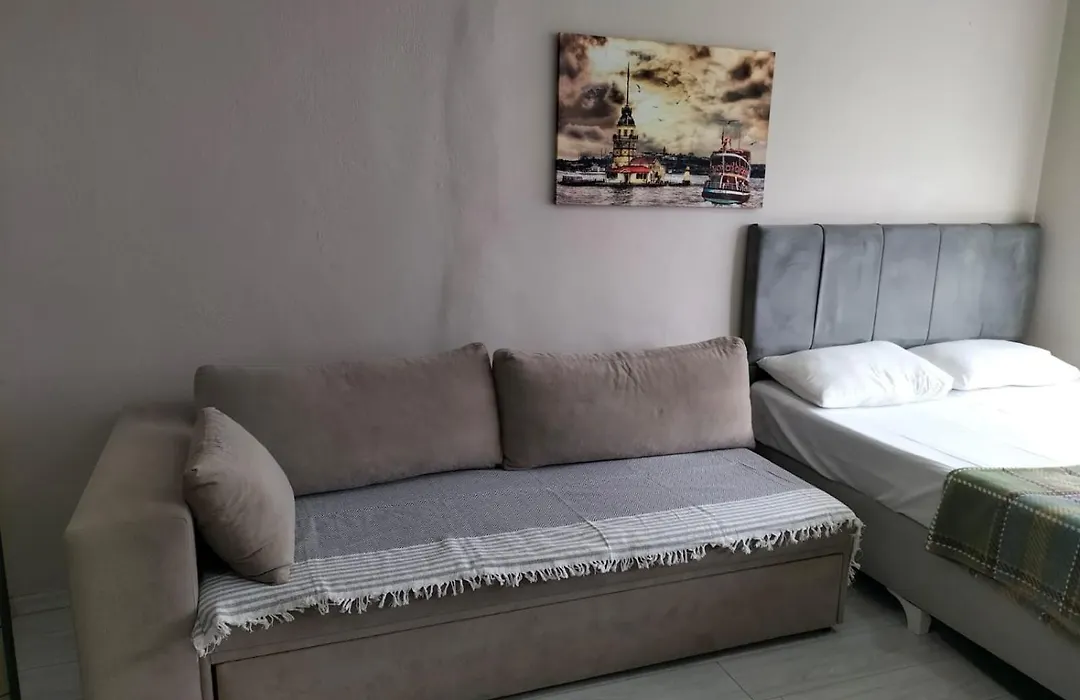 Ava Suite-1