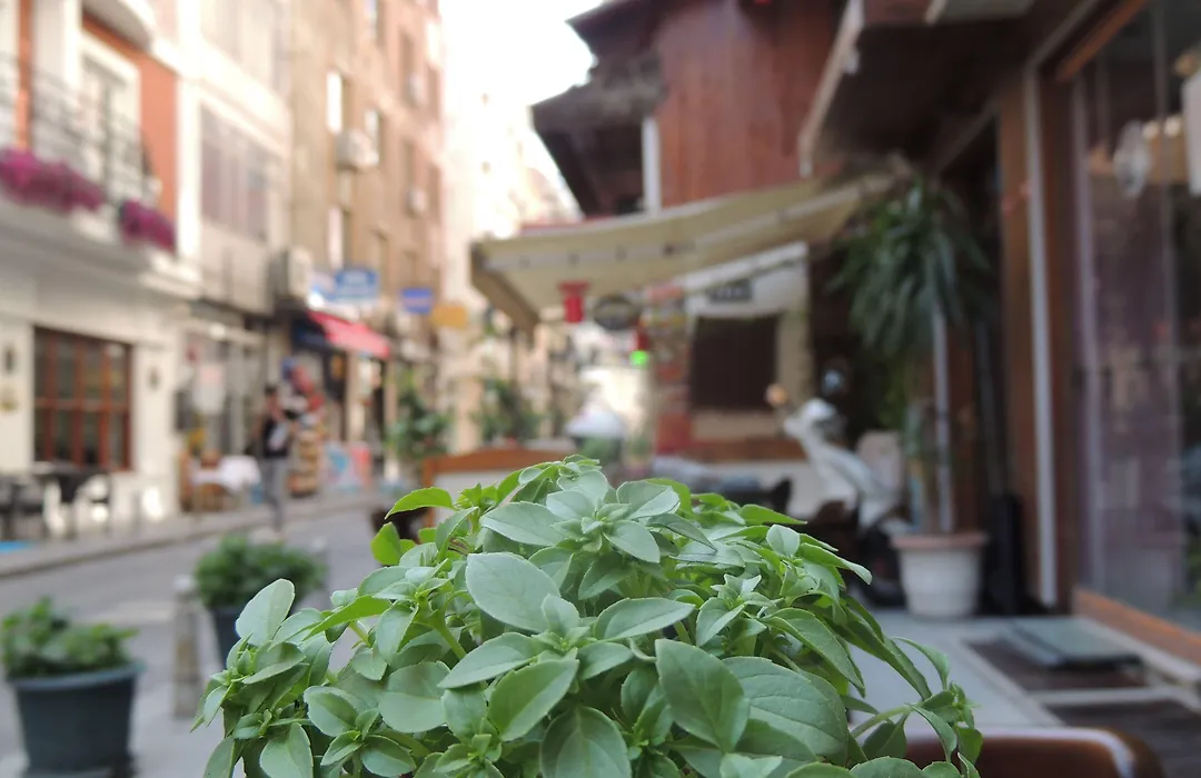 Sirkeci Quietness Hotel-1