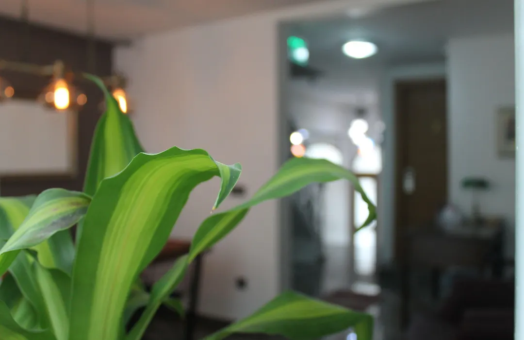 Xenia Hotel Taksim-1