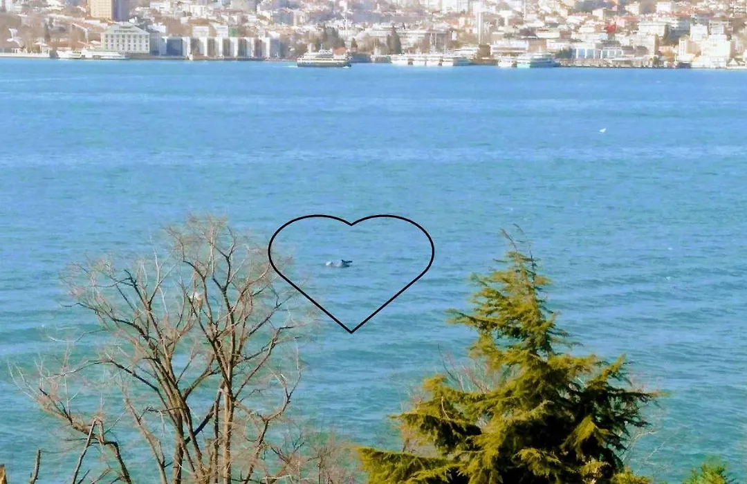 The Bosphorus Perch-1