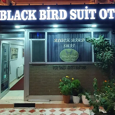 Black Bird Suite Hotel-3