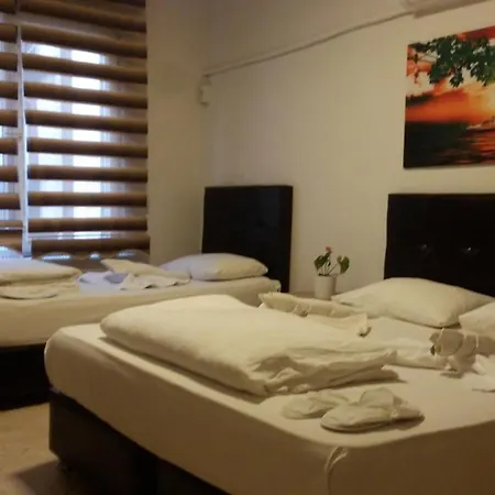 Hotel Kiwi-2