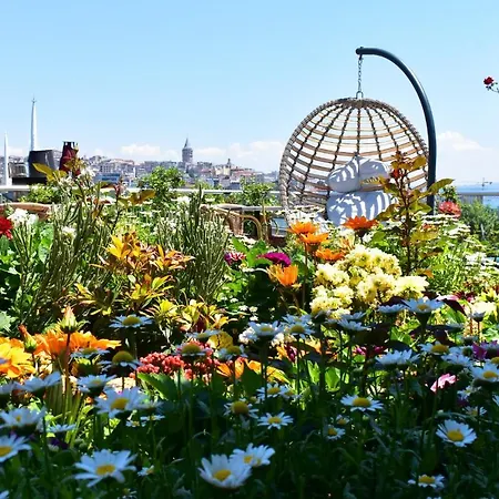 Hotel Garden Terrace-3