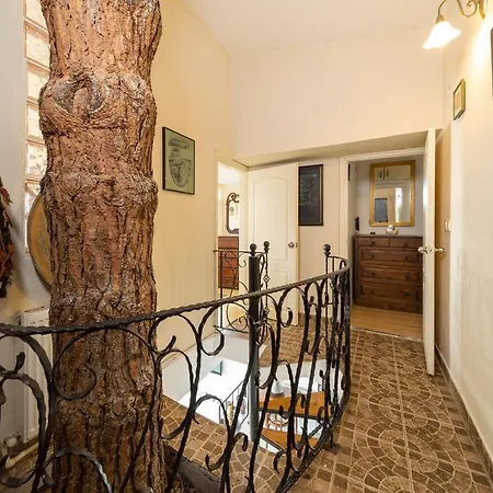 House With Tree Inside Near Sea In Maltepe-2