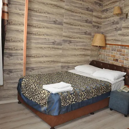 Hotel Red Rose-3