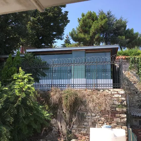 Amida House-2