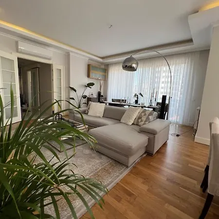 Luxury House-3
