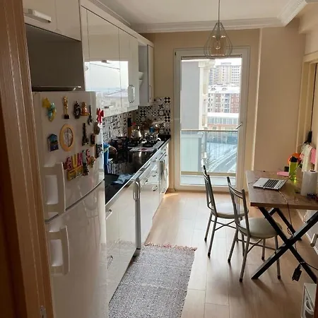 Dogan'S House-3