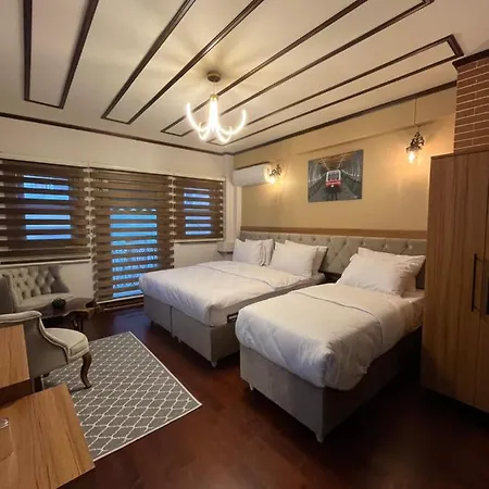 Palmera Art House-2