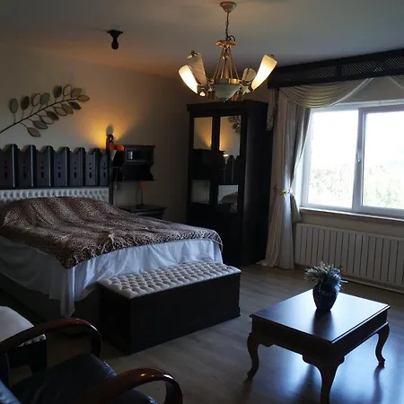 Havuzlu Doga Icerisinde Huzurlu Villa-2