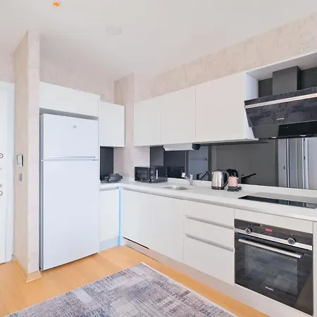 Fortis Yeni Kadikoey By Newinn Residence-2