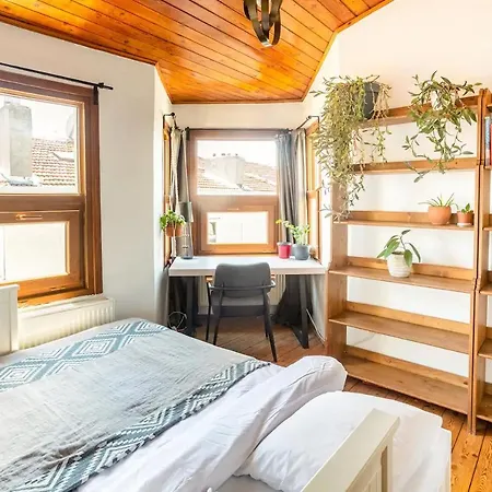Cosy Roof Flat On 5Th Floor With Bosphorus View-2