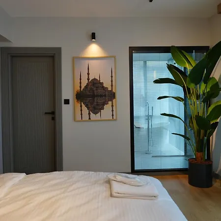 Dream House Monstera-3