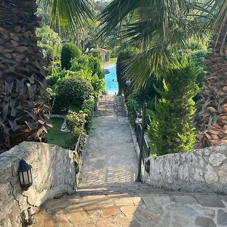 Garden In Home-2