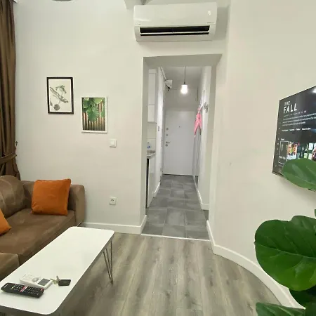 Flat In The Middle Of Istiklal-3