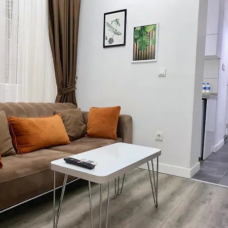Flat In The Middle Of Istiklal-2