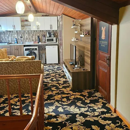 The Pashas House-3