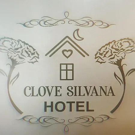 Clove Silvana Hotel-2