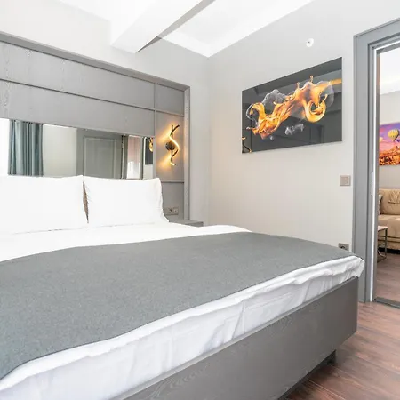 216 Style Suite-3