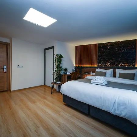 Elite Marmara Boutique Hotel Sultanahmet-2