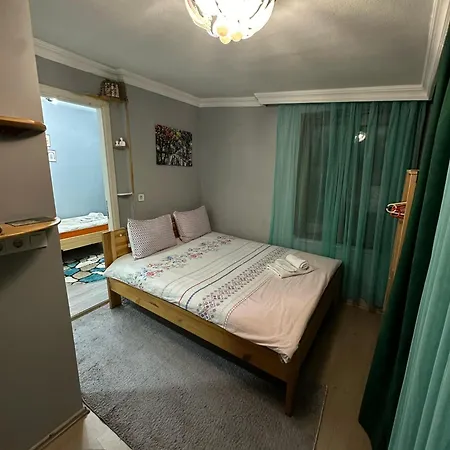 Nelly Guesthouse-2
