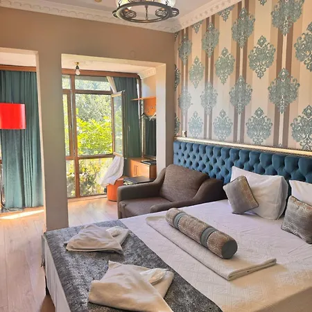 Golden Palace Hotel - Sultanahmet-3